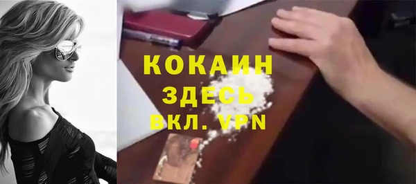 PSILOCYBIN Горняк