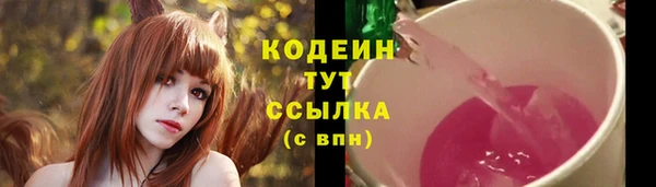 PSILOCYBIN Горняк
