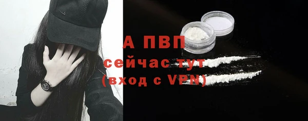 PSILOCYBIN Горняк