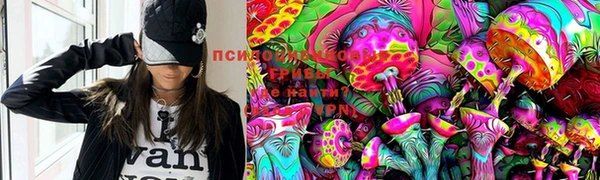 PSILOCYBIN Горняк