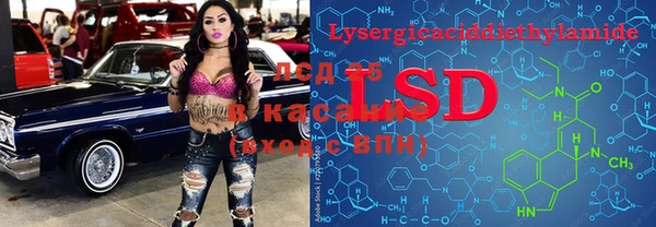 PSILOCYBIN Горняк