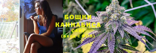 PSILOCYBIN Горняк