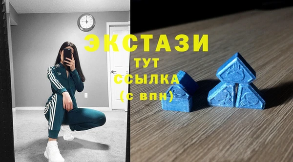 PSILOCYBIN Горняк