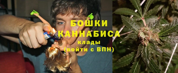 PSILOCYBIN Горняк