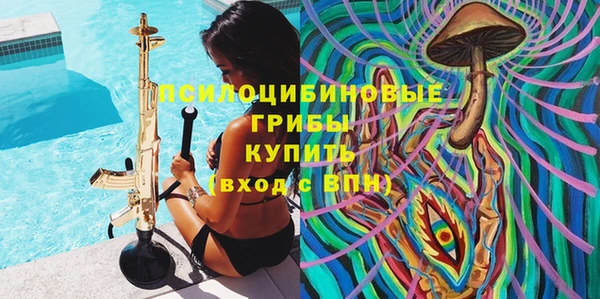 mdma Горнозаводск