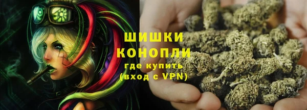 PSILOCYBIN Горняк