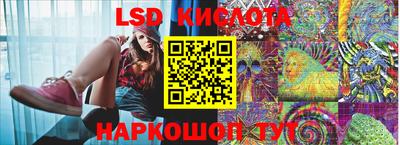 крисы Кулебаки