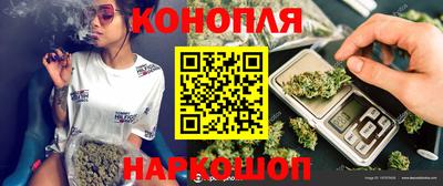 крисы Кулебаки