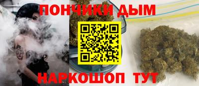 крисы Кулебаки