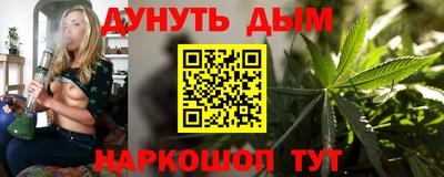 крисы Кулебаки