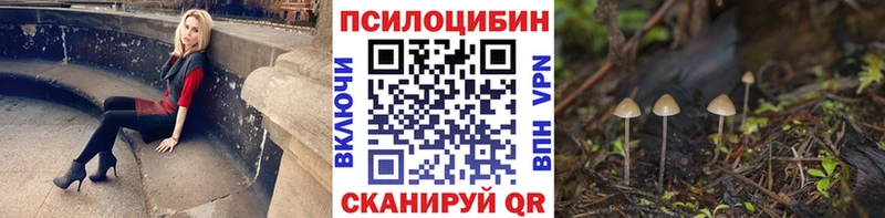 где купить наркотик  kraken ТОР  Галлюциногенные грибы мицелий  Елец 