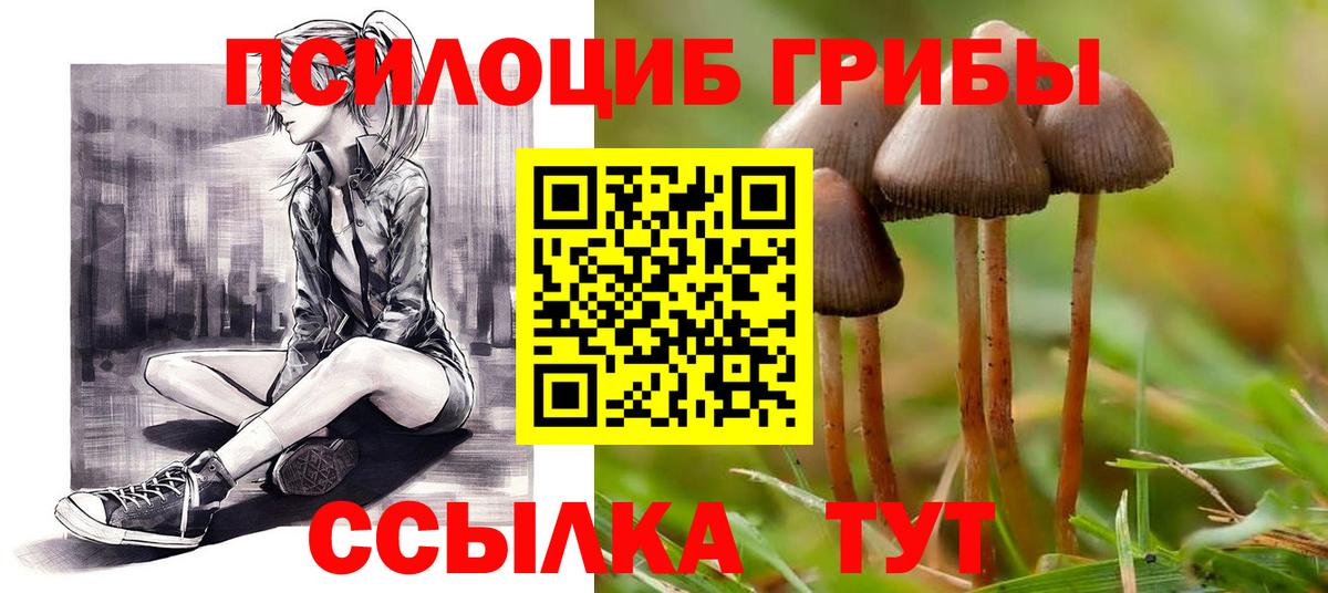 Галлюциногенные грибы мицелий  Вход с VPN  Галлюциногенные грибы Cubensis  Елец 