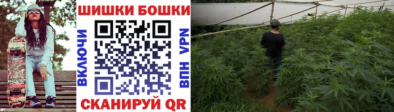 KRAKEN зеркало  Елец  Бошки Шишки MAZAR 
